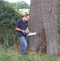 Tree Surveys | Principal Trees